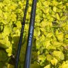 SHIMANO BANTAM 170M-2 baitcasting rod – Bild 11