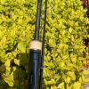 SHIMANO BANTAM 170M-2 baitcasting rod – Bild 9