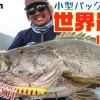 FISHMAN BC4 5.10MXH baitcasting rod – Bild 4