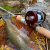ANGLO Paragon G Series PGB4113 glass baitcasting rod – Bild 7