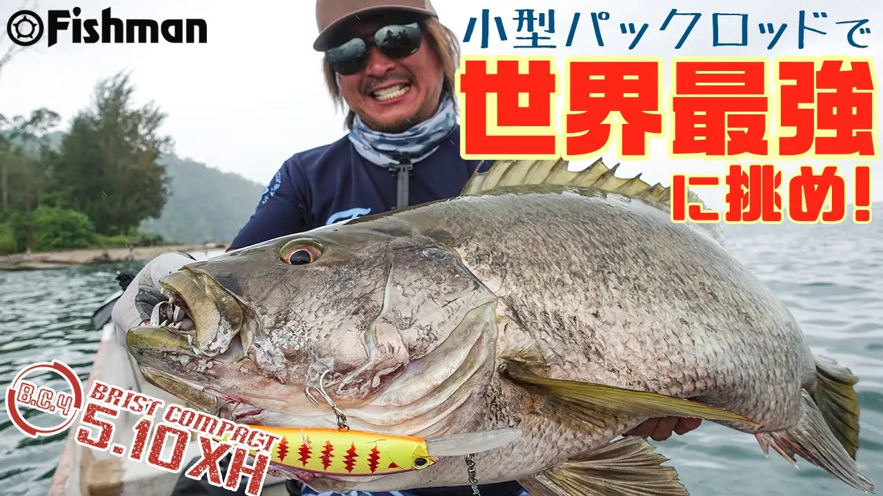 FISHMAN BC4 6.10XH baitcasting rod - immagine 4
